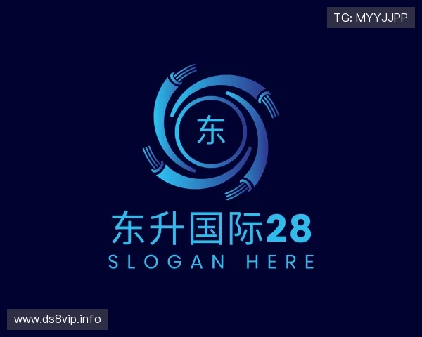 解读东升国际28